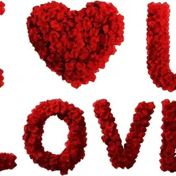 satyam kraft 300 Pcs of Rose Petals for Home Decor and Crafts Red, Black Rose Artificial Flower image 4