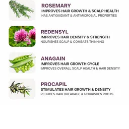 Dermatouch Set Of 2 Rosemary Water Spray For Hair Growth- 50 ml Each image 2