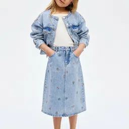 H&M Embroidery-Detail Denim Skirt image 1
