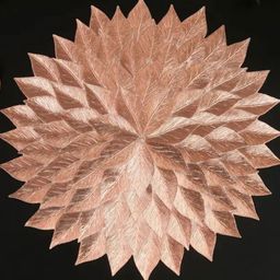 Dakshya Industries 2Pc Self Design Table Placemats-picture-47