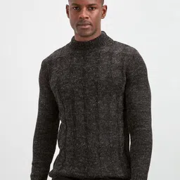 Trendyol Men Self Design Round Neck Pullover Sweater image 1