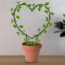 Nymph Black & Brown Rust-Free Indoor Planter image 2