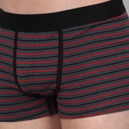 Cantabil Pack of 2 Striped Trunks MBRF00041_GREY-Grey image 3