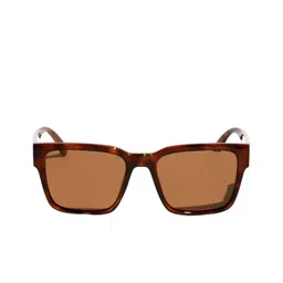 Vintage Unisex Mind Wayfarer Sunglasses with Polarised and UV Protected Lens Mind Col 206 image 3