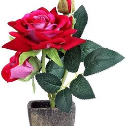Artificial Red Rose Flower with Square Pot for Home décor Wild Artificial Plant with Pot-image-25