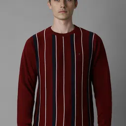 Louis Philippe Sport Men Striped Pullover-picture-40