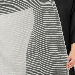 Rhe-Ana Pack Of 4 Striped Woven Design Dupattas image 3