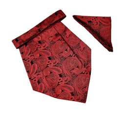 voici Paisley Design Cravats & Pocket Square Combo-picture-20