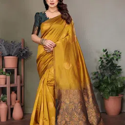 Styleveda Woven Design Banarasi Saree-picture-22