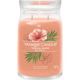 YANKEE CANDLE Orange 1 pieces Jar Candle-image-50