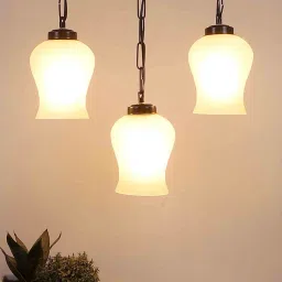 new era Black Iron and Glass Cluster Hanging Light image 1