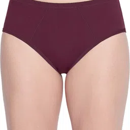 bodycare Pack of 3 Women Hipster Multicolor Panty image 3