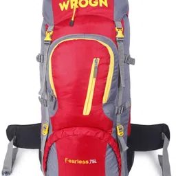 Trekking Bag For Hiking/Camping/Outdoor Sports with Rain Cover/Shoe Compartment Rucksack- 75 L-image-62