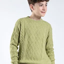 Monte Carlo Boys Self Design Woollen Long Sleeves Pullover Sweater-picture-13