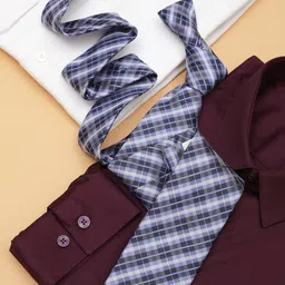 Allen Solly Men Checked Broad Tie image 1