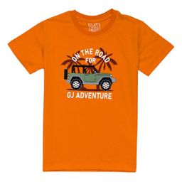 Gini and Jony Boys Graphic Printed Round Neck Cotton T-shirt-picture-5