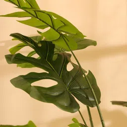 Elemntl Green Core image 4