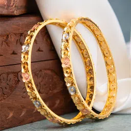 FAA FASHION Women 2 Pcs Gold-Plated Bangles-picture-24