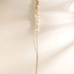 Home Centre Amara Maya Buzz White Artificial Eremurus Flower image 5