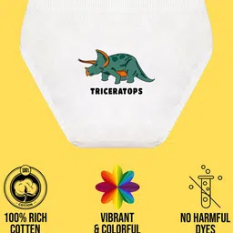 NUSYL Boys Pack Of 3 Printed Mid Rise Basic Briefs - NUBCBRFPO3.0116 image 4