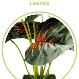 Dekorly Green Plastic Artificial Flowers & Plants With Pot image 3