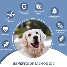 pooch & furr PURE ALASKAN SALMON OIL WITH GLUCOSAMINE ADVANTAGE Pet Health Supplements image 3