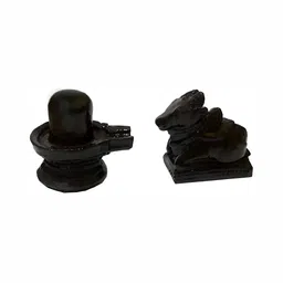 Navyaksh Black Showpiece image 1