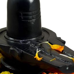 Navyaksh Black Marble Shivling Decorative Showpiece-picture-5