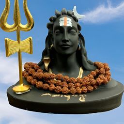 Navyaksh Black Showpiece-picture-28