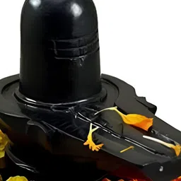 Navyaksh Black Showpiece-picture-27