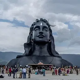 Navyaksh Black Showpiece-picture-25