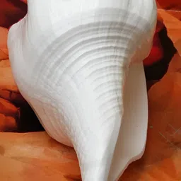 Navyaksh White Showpiece image 2