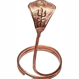 Navyaksh Brown Showpiece image 2