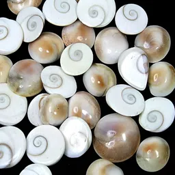 Navyaksh White Showpiece image 2