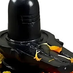 Navyaksh Black 2 Pieces Nandi & Shiva Lingam Showpieces image 5