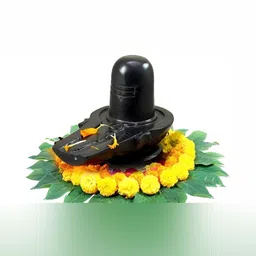 Navyaksh Black Religious Small Shivling Showpiece image 4