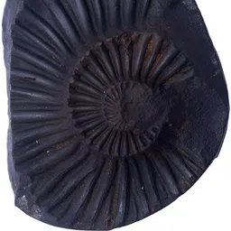 Navyaksh Black Showpiece image 3