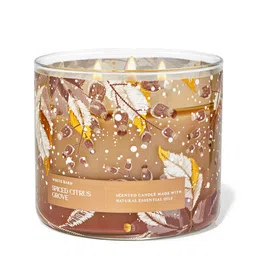 Bath & Body Works Spiced Citrus Grove Scented 3-Wick Candle - 411g-picture-35