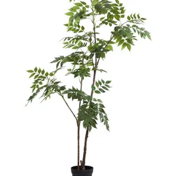 Elemntl Green Core image 5