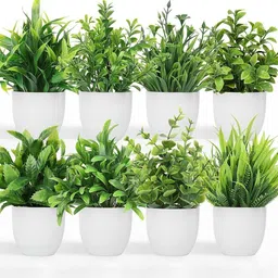 Dekorly Multi Plastic Artificial Flowers & Plants With Pot-picture-15