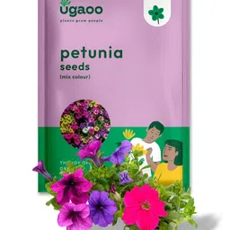 UGAOO Petunia Mix Seeds-picture-28