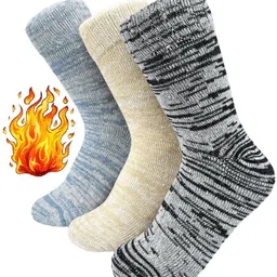 frackson Men Solid, Self Design Mid-Calf/Crew-picture-15