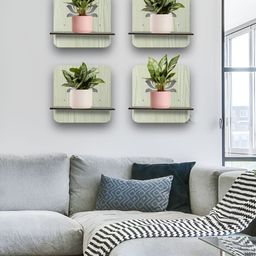 OLIVE TREE Black & Cream 4 Pieces Olive Tree Planter Stand Wall Shelves-picture-34