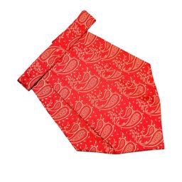 VOICI Men Woven Design Cravat-picture-24