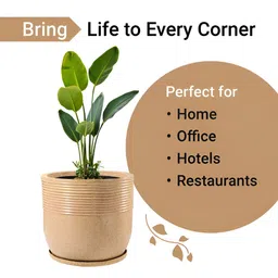 RUBOXA Brown UV ProtectedPlanters image 4