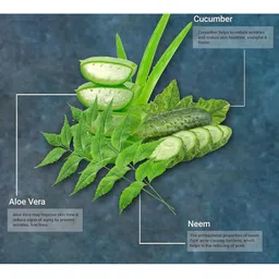 Elecsera Neem Foaming Face Wash For Pimple Control - 100 ml image 4