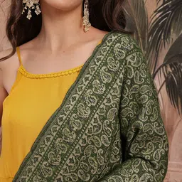 Sangria Ethnic Motifs Woven Design Pure Wool Ethnic Shawl with Fringed Border image 3