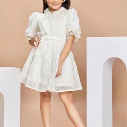 Peppermint Chiffon A-Line Mini Dress image 2