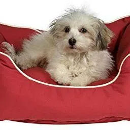 heaven luxurious Premium Quality Ultra Soft Velvet Sofa Dog Bed & Cat Bed| Puppies Puppy Pet Bed M Pet Bed image 1