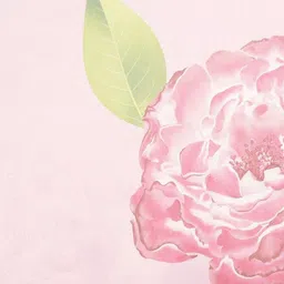 all about you Floral Organza Saree image 3